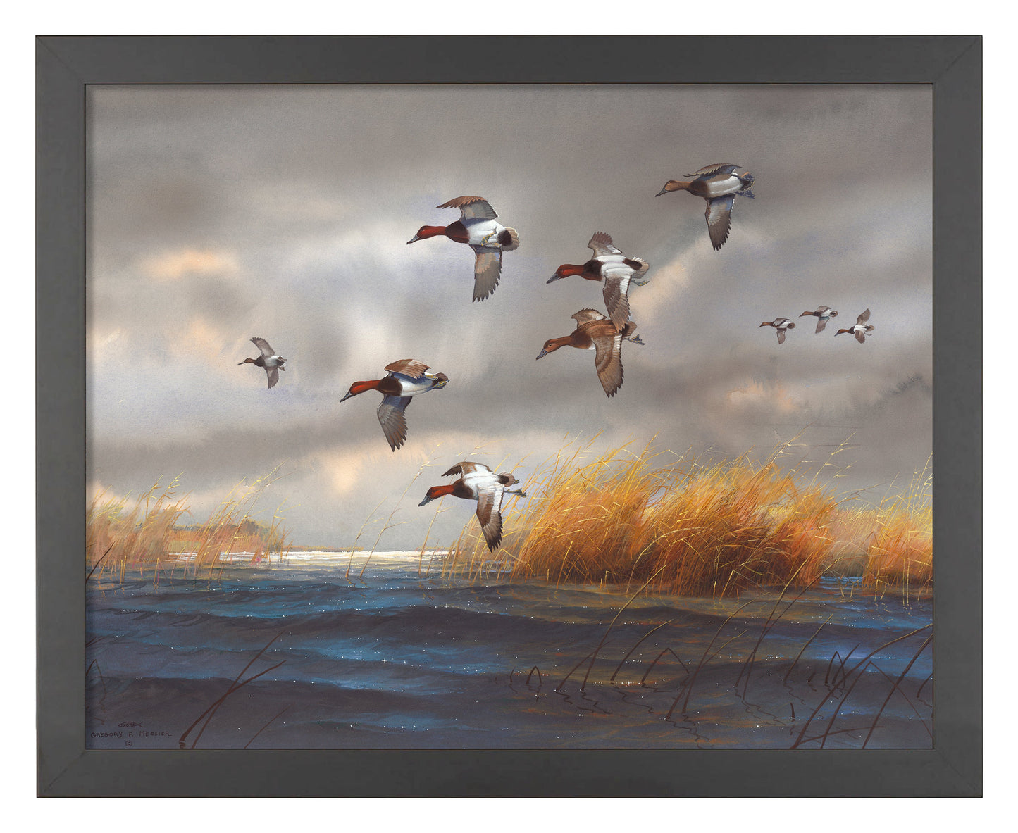 Watering Cans - Art Prints