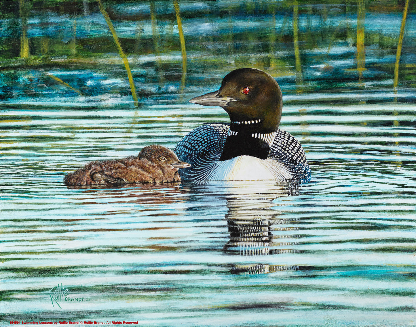 154591_Swimming Lessons_11x14_GFT.jpg