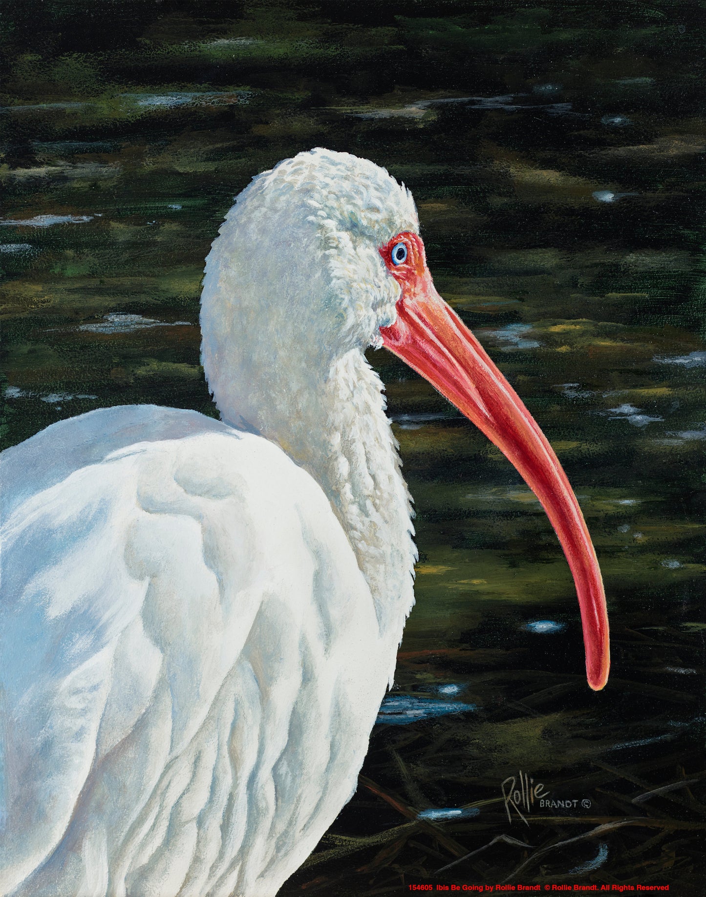 154605_Ibis Be Going_11x14_GFT.jpg