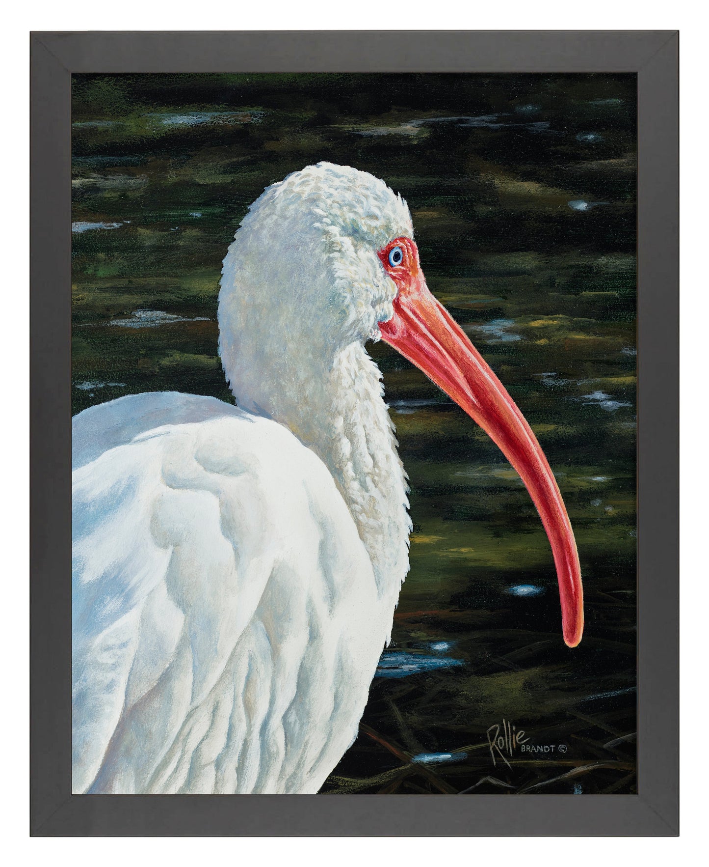 154606_Ibis Be Going_11x14_FRA_BLACK 102640.jpg