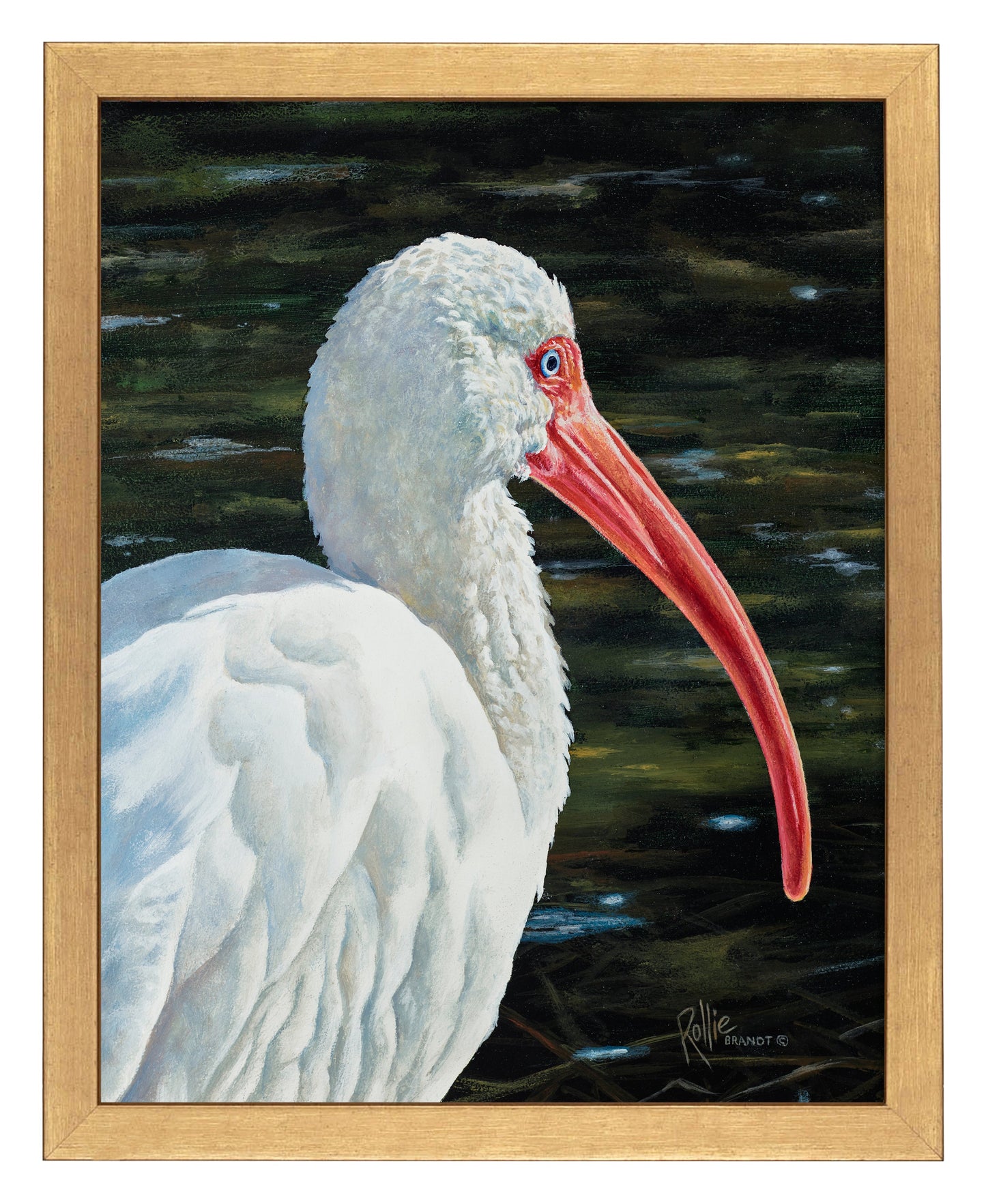 154607_Ibis Be Going_11x14_FRA_GOLD 102643.jpg