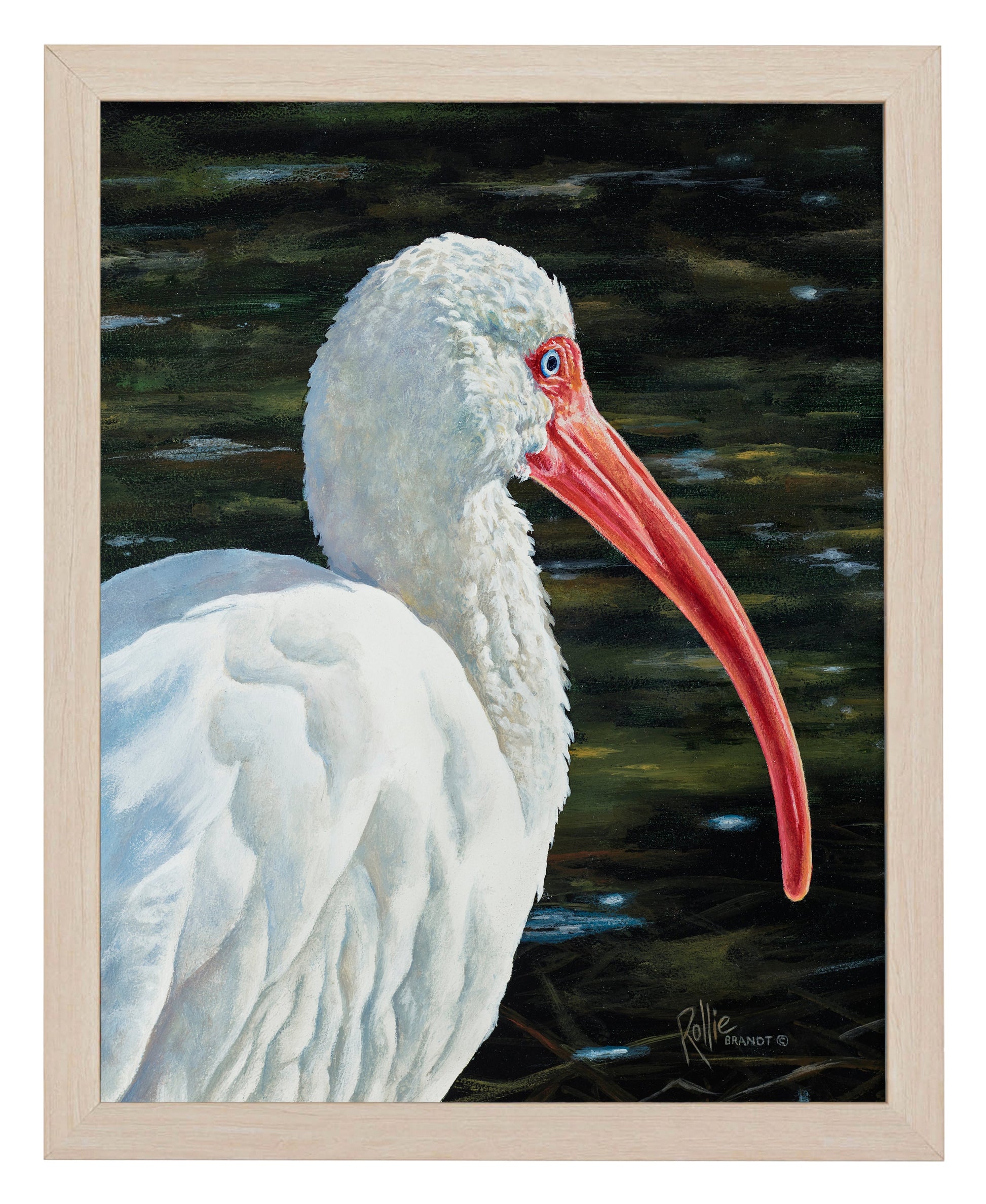 154608_Ibis Be Going_11x14_FRA_NATURAL 102644.jpg