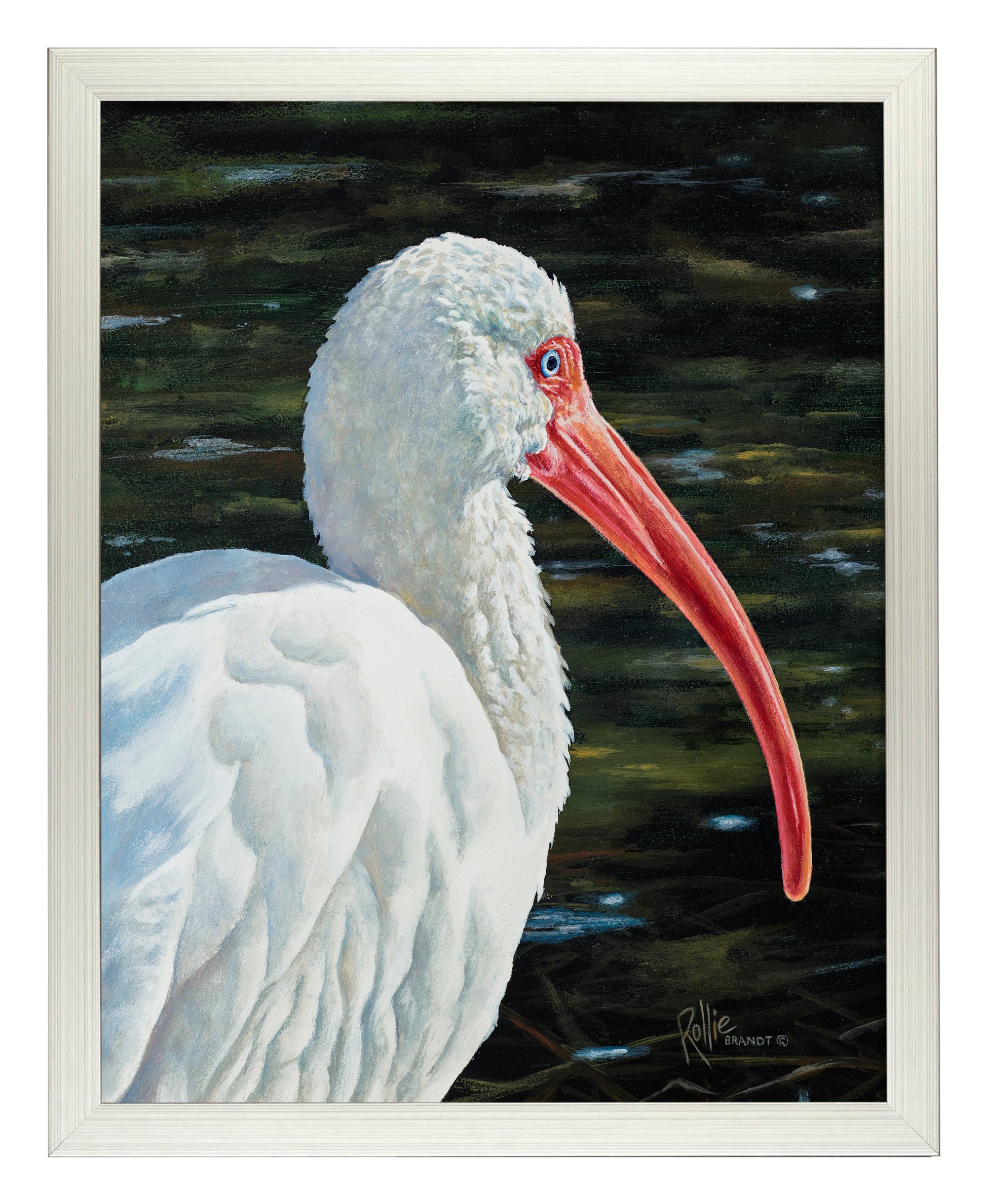 154609_Ibis Be Going_11x14_FRA_SILVER 102642.jpg