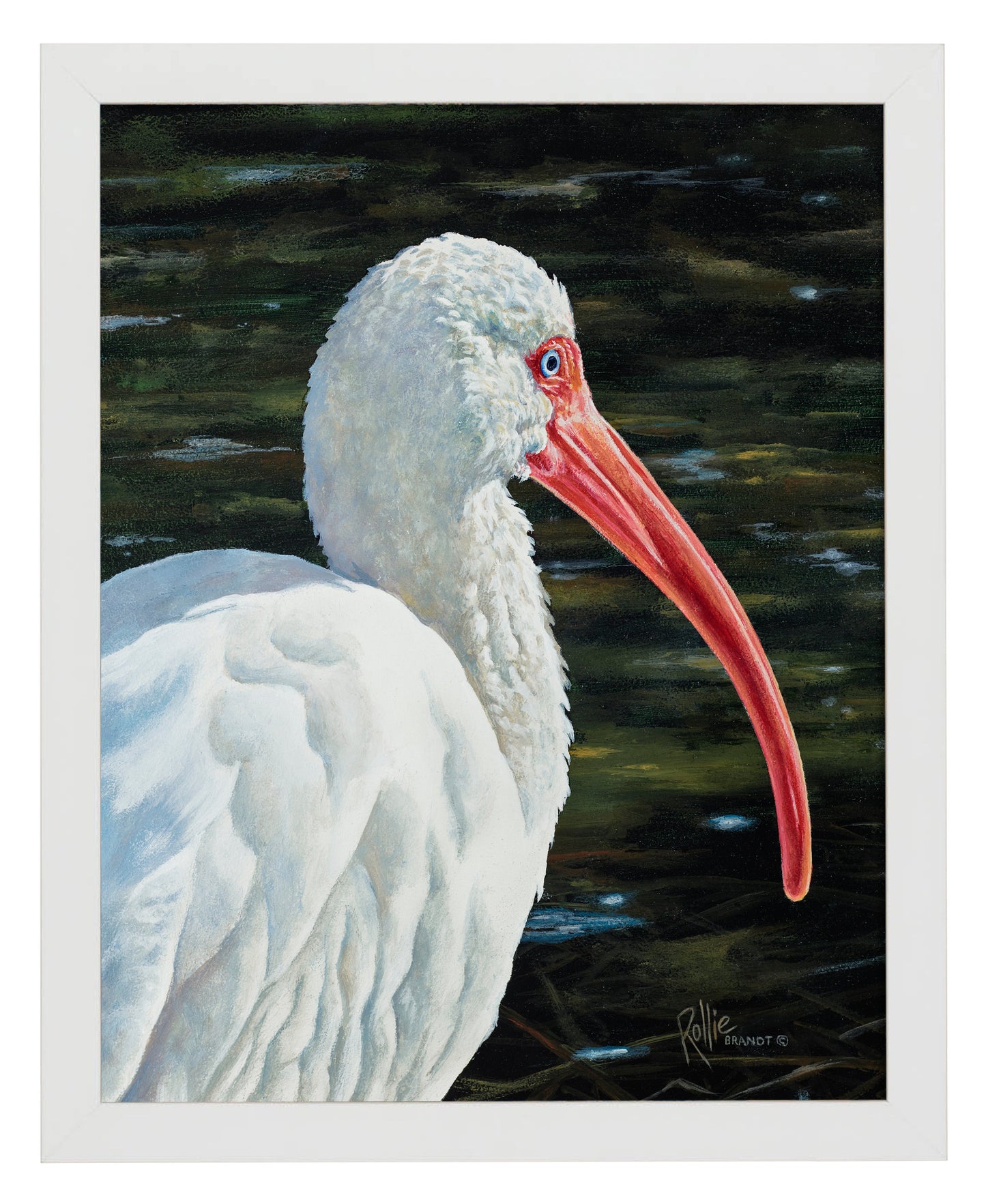 154610_Ibis Be Going_11x14_FRA_WHITE 102641.jpg