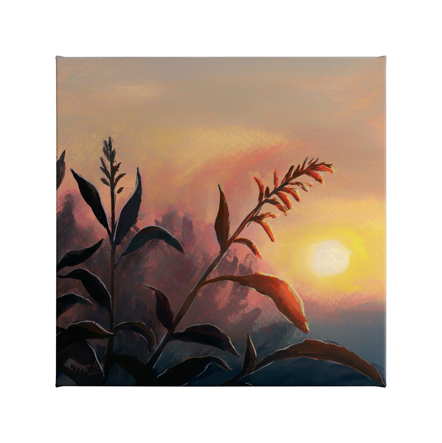 Morning Glow - 14" x 14" Gallery Wrapped Canvas