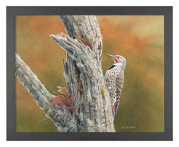 154792_Flicker’s Feast_11x14_FRA_ BLACK 102640.jpg