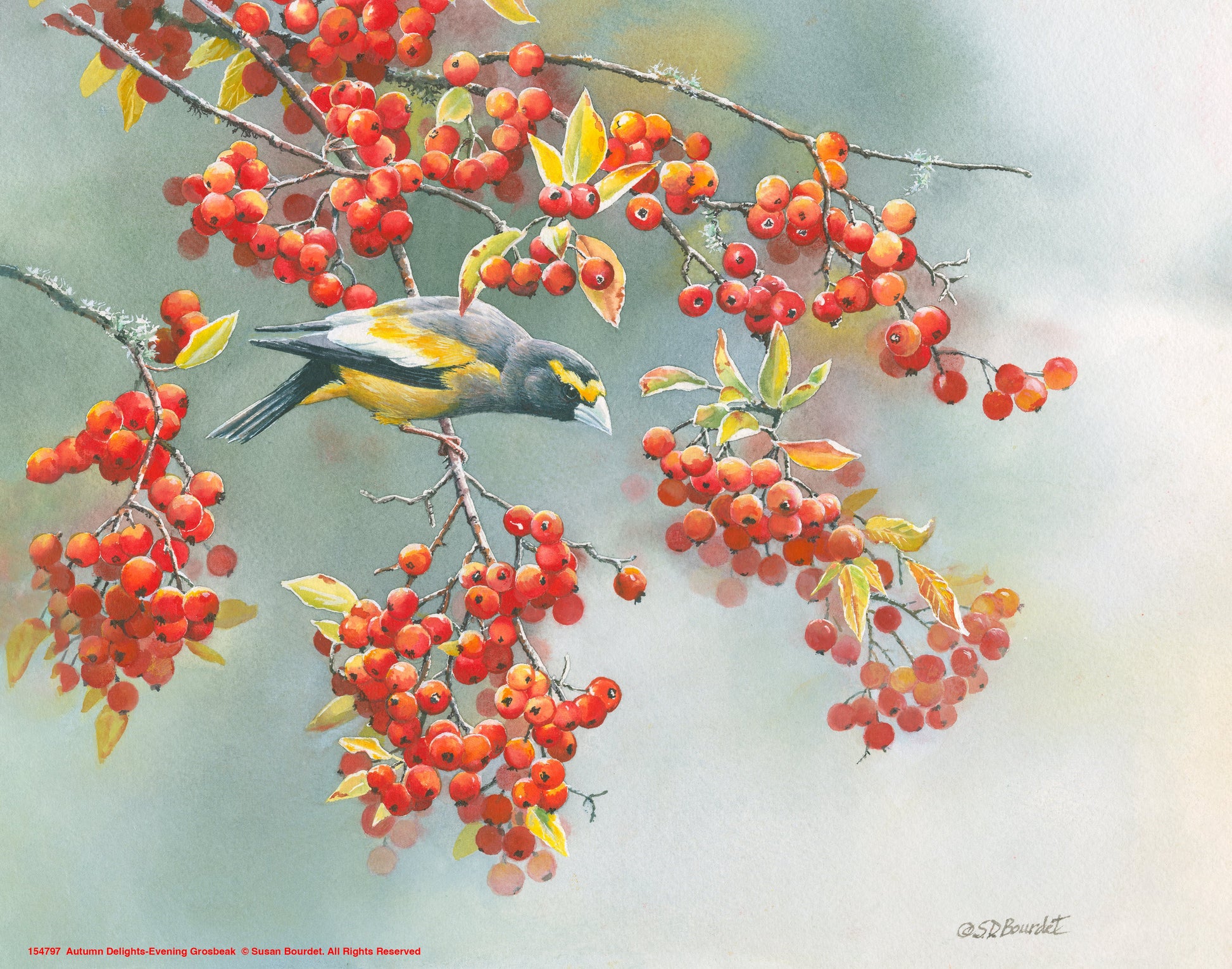 154797_Autumn Delights-Evening Grosbeack_11x14_GFT.jpg