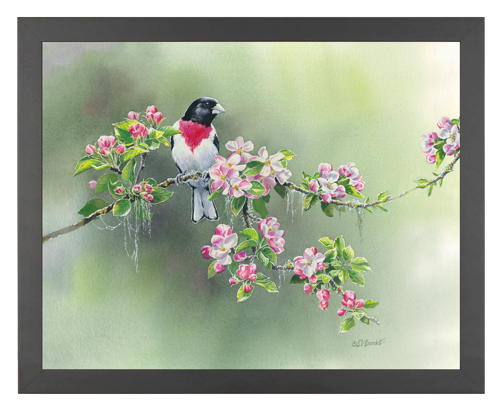 154810_Woodland Spring_11x14_FRA_BLACK 102640.jpg