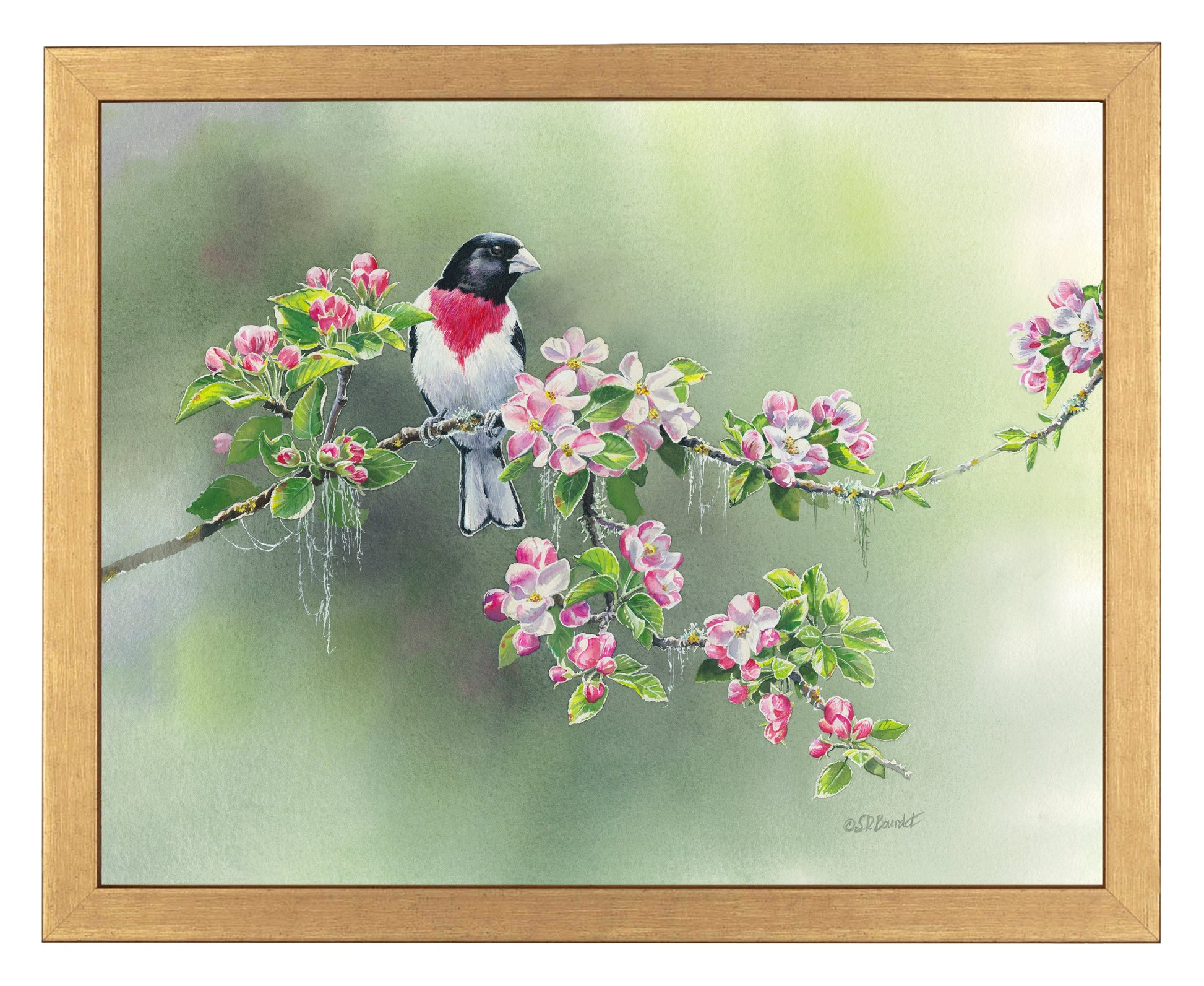 154811_Woodland Spring_11x14_FRA_GOLD 102643.jpg