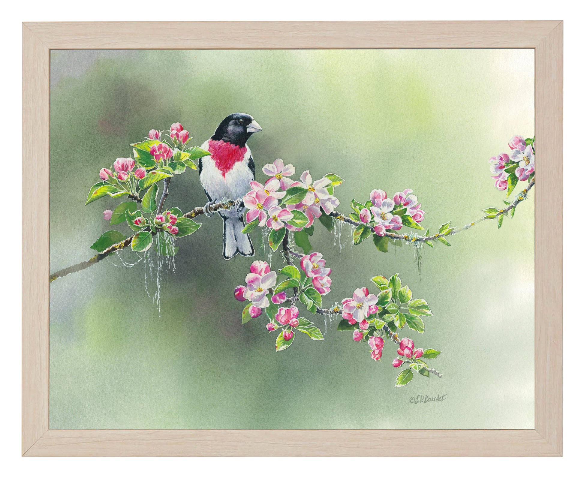 154812_Woodland Spring_11x14_FRA_NATURAL 102644.jpg