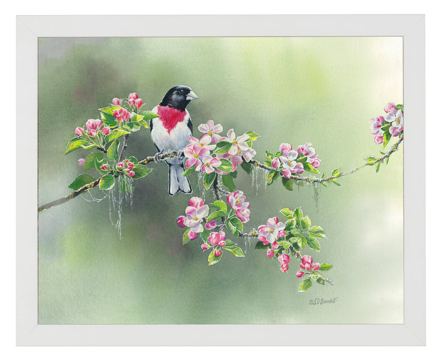 154814_Woodland Spring_11x14_FRA_WHITE 102642.jpg