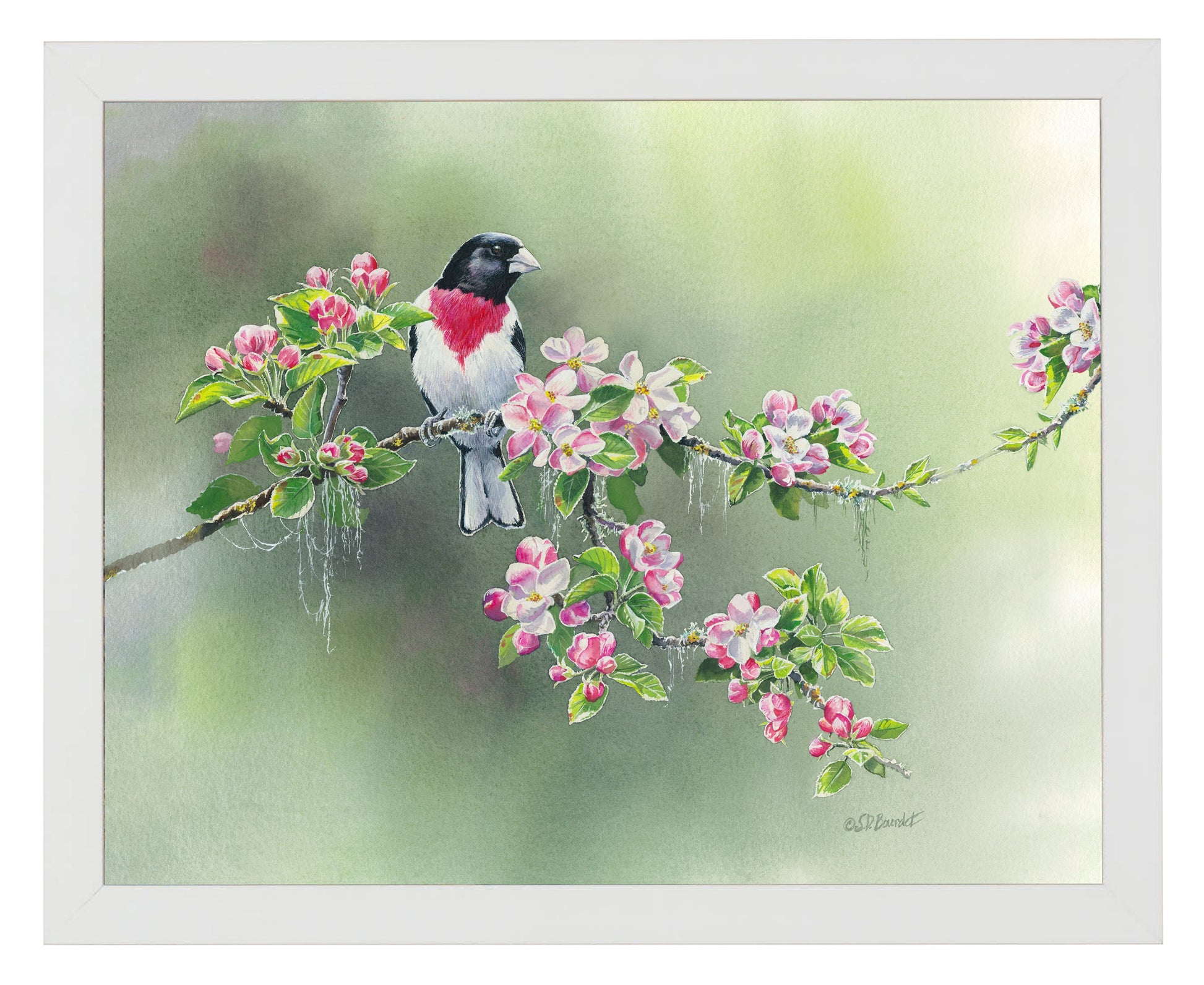 154814_Woodland Spring_11x14_FRA_WHITE 102642.jpg