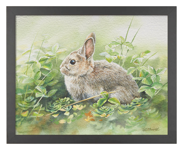 154816_Cottontail Adventures_11x14_FRA_BLACK 102640.jpg