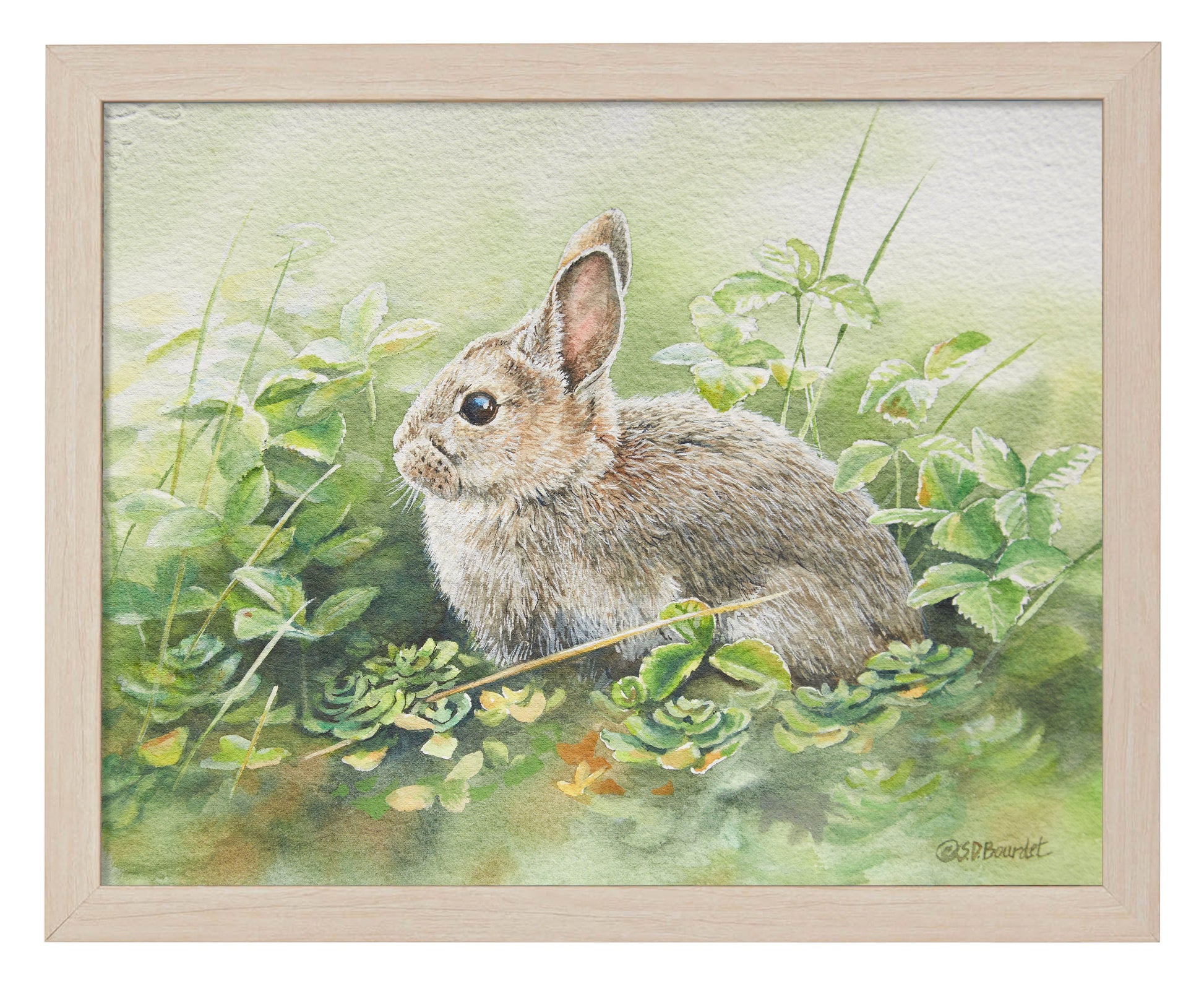 154818_Cottontail Adventures_11x14_FRA_NATURAL 102644.jpg