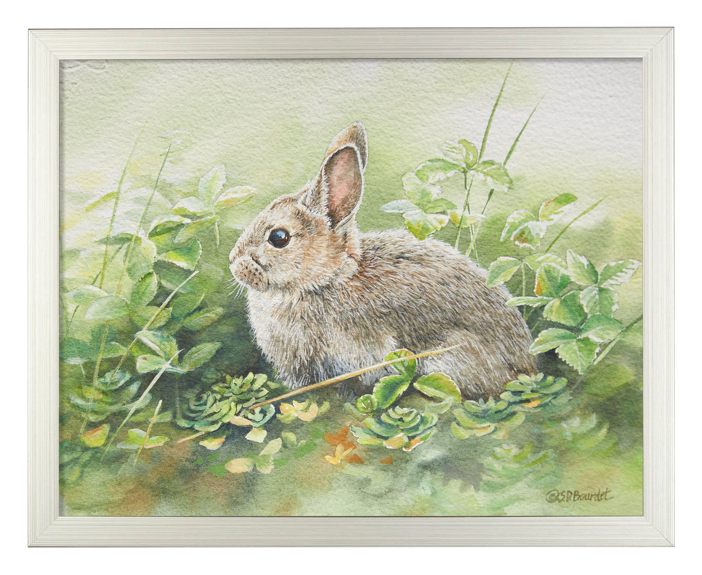 154819_Cottontail Adventures_11x14_FRA_ SILVER 102642.jpg