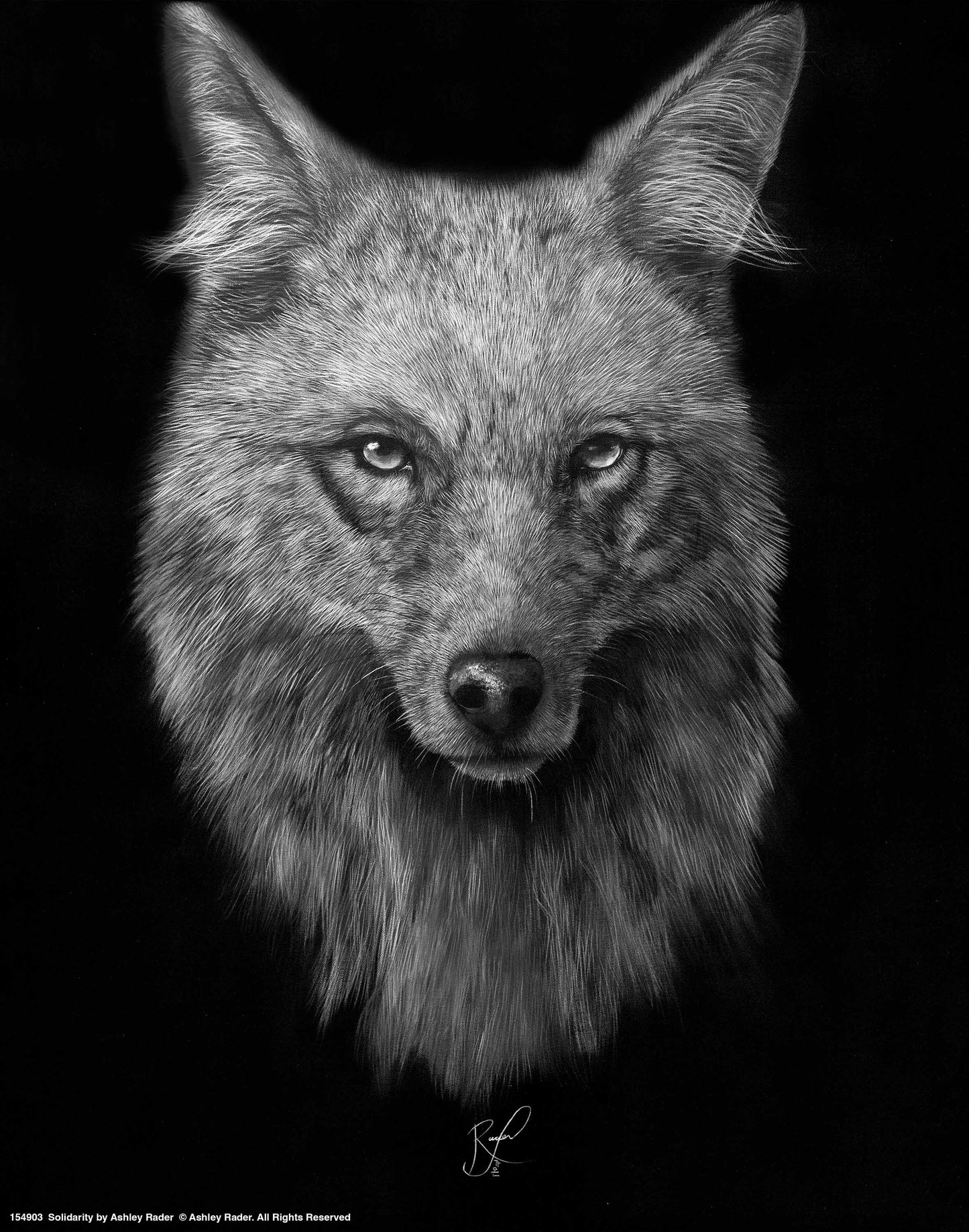 Solidarity - Art Prints