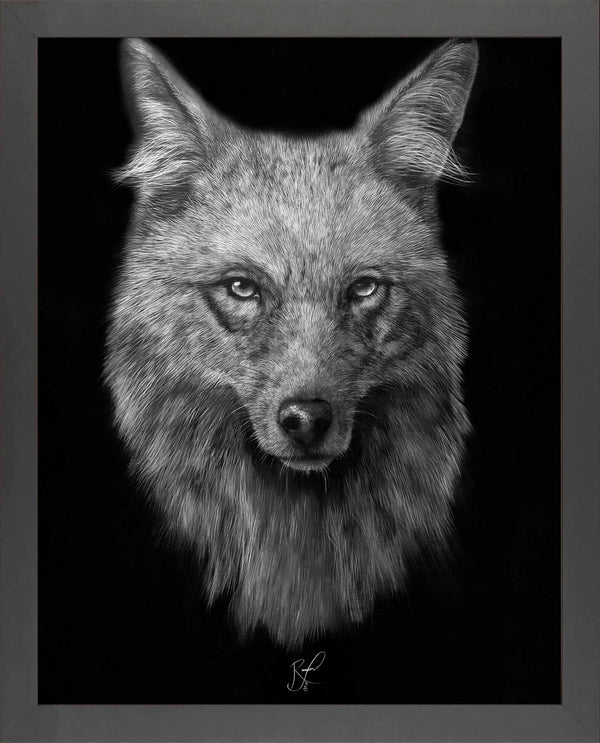 Solidarity - Art Prints