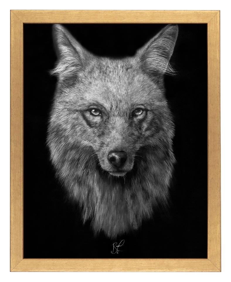 Solidarity - Art Prints