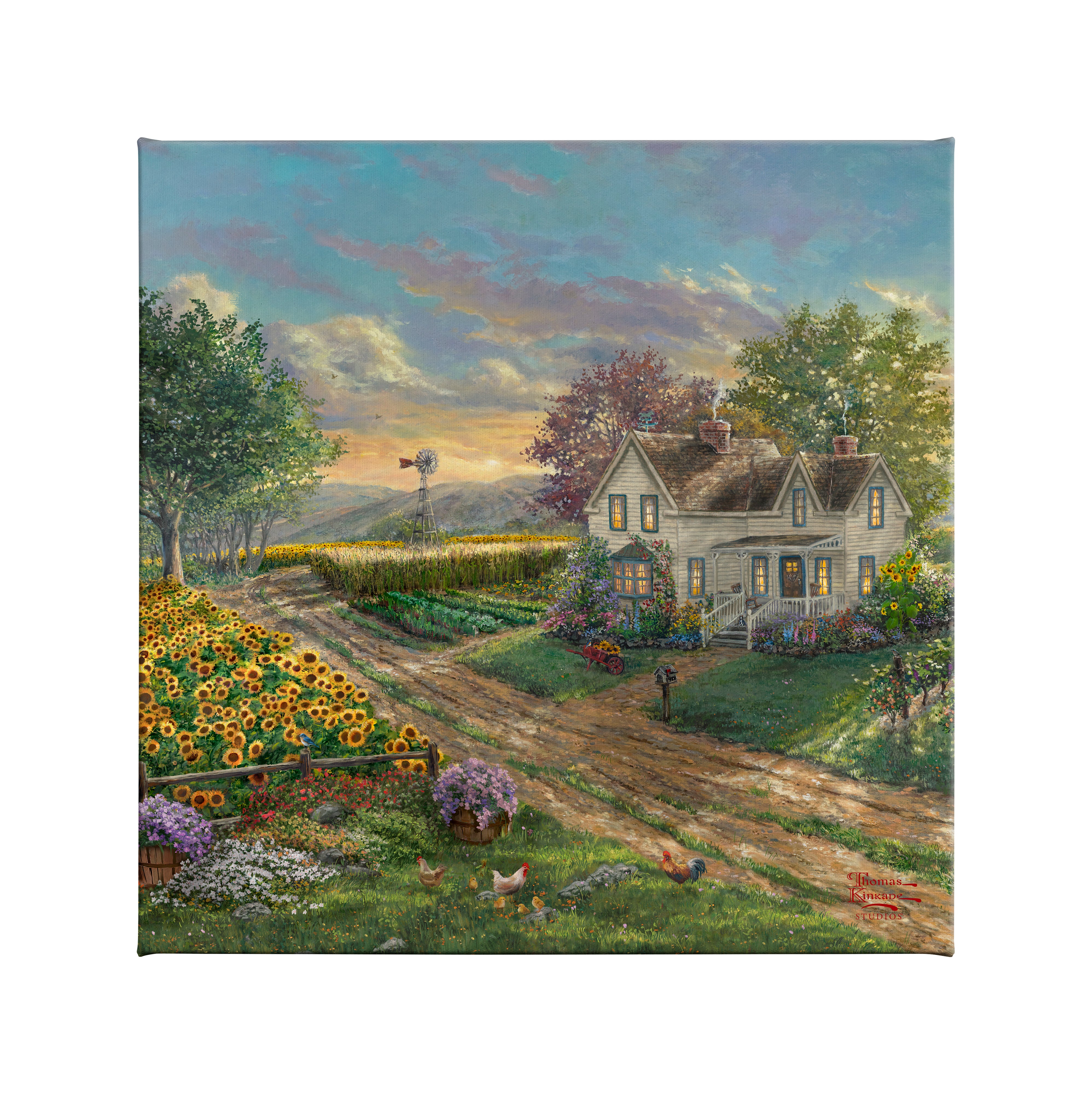 Sunflower Fields - 14