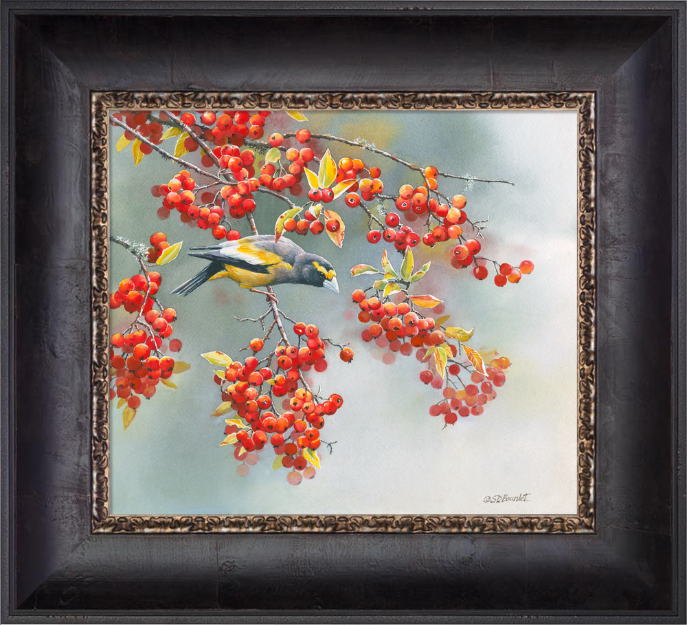 156611_Autumn-Delights_Cabernet.png