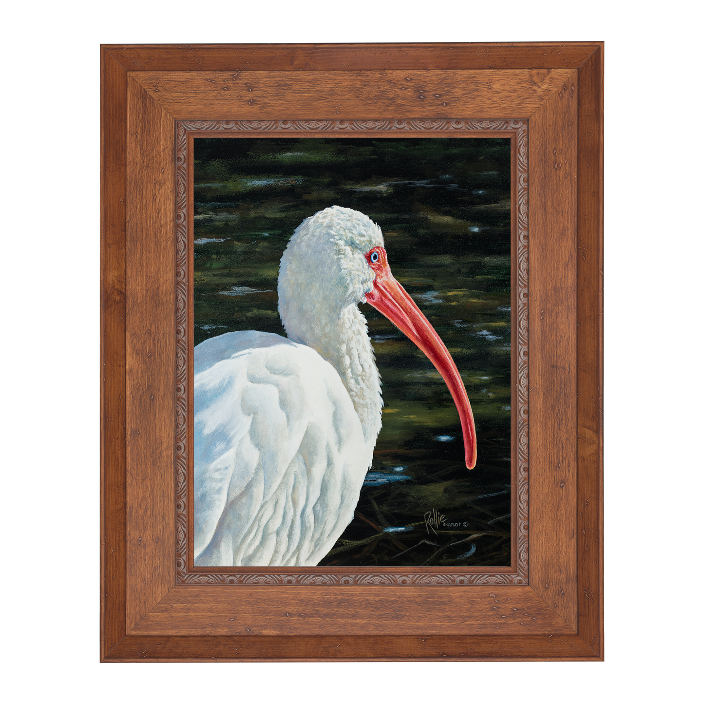 *Original* Ibis Be Going by Rollie Brandt 14" x 11"
