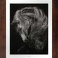 Power - Limited Edition Paper