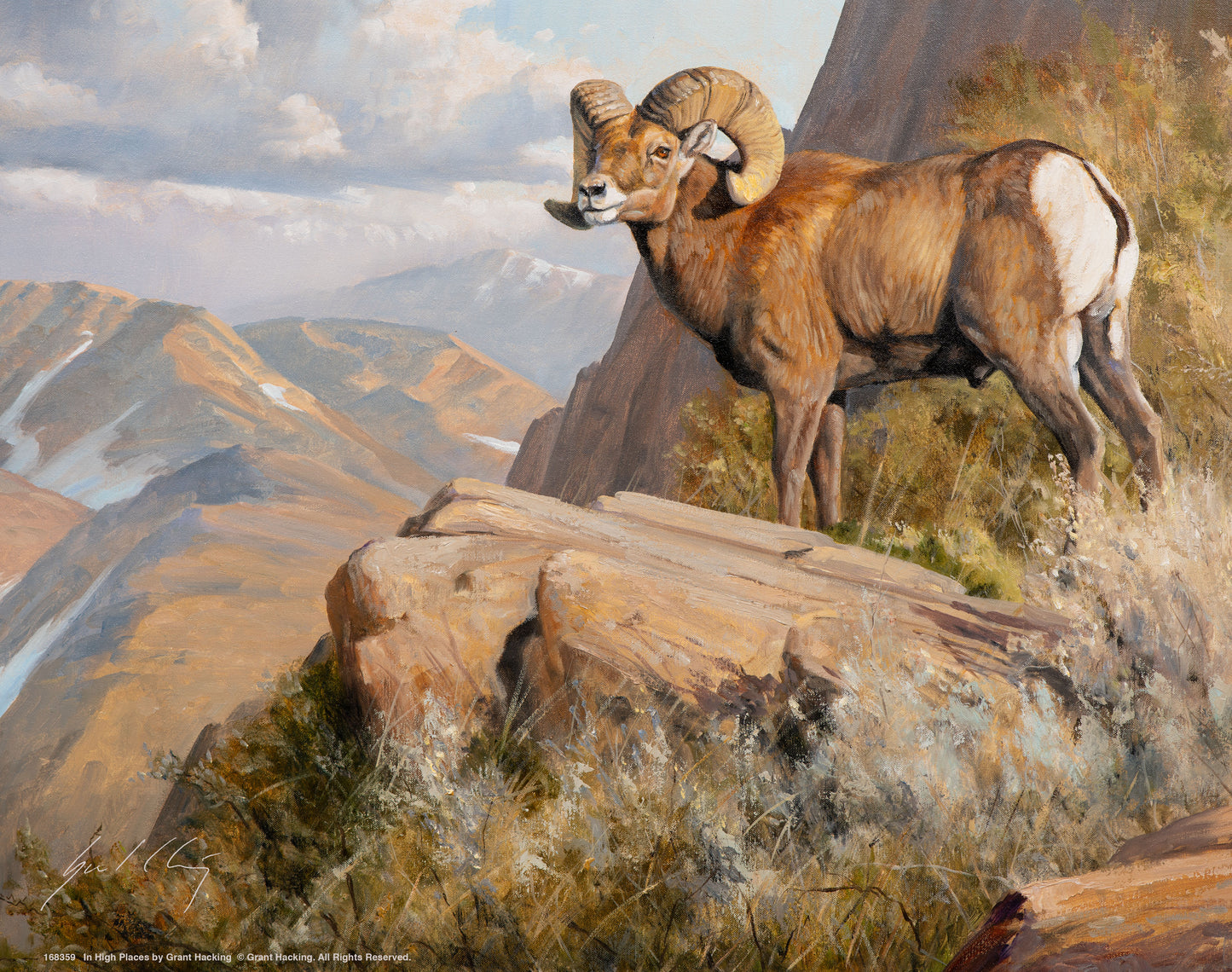 In high Places - Art Prints