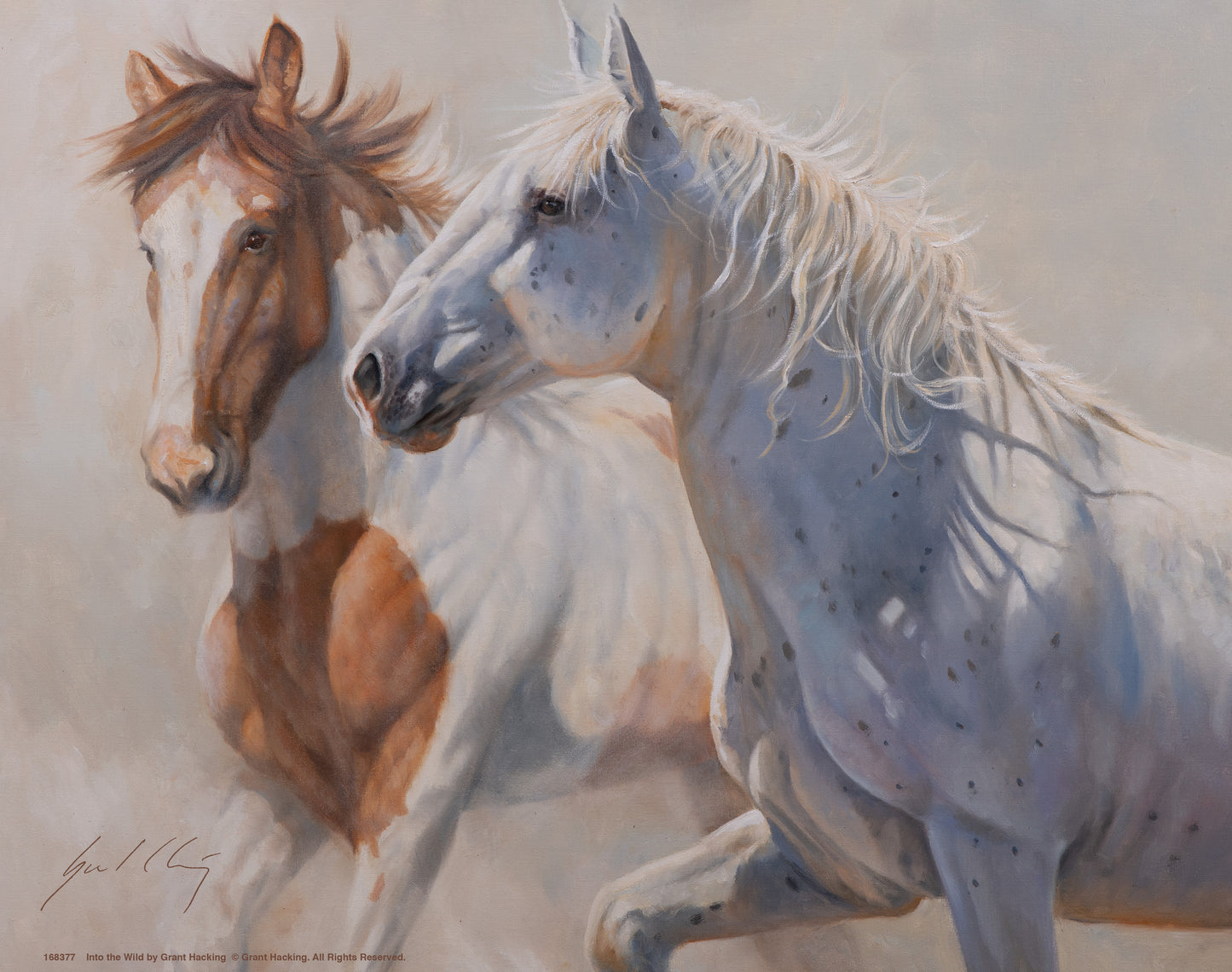 Into the Wild - Art Prints