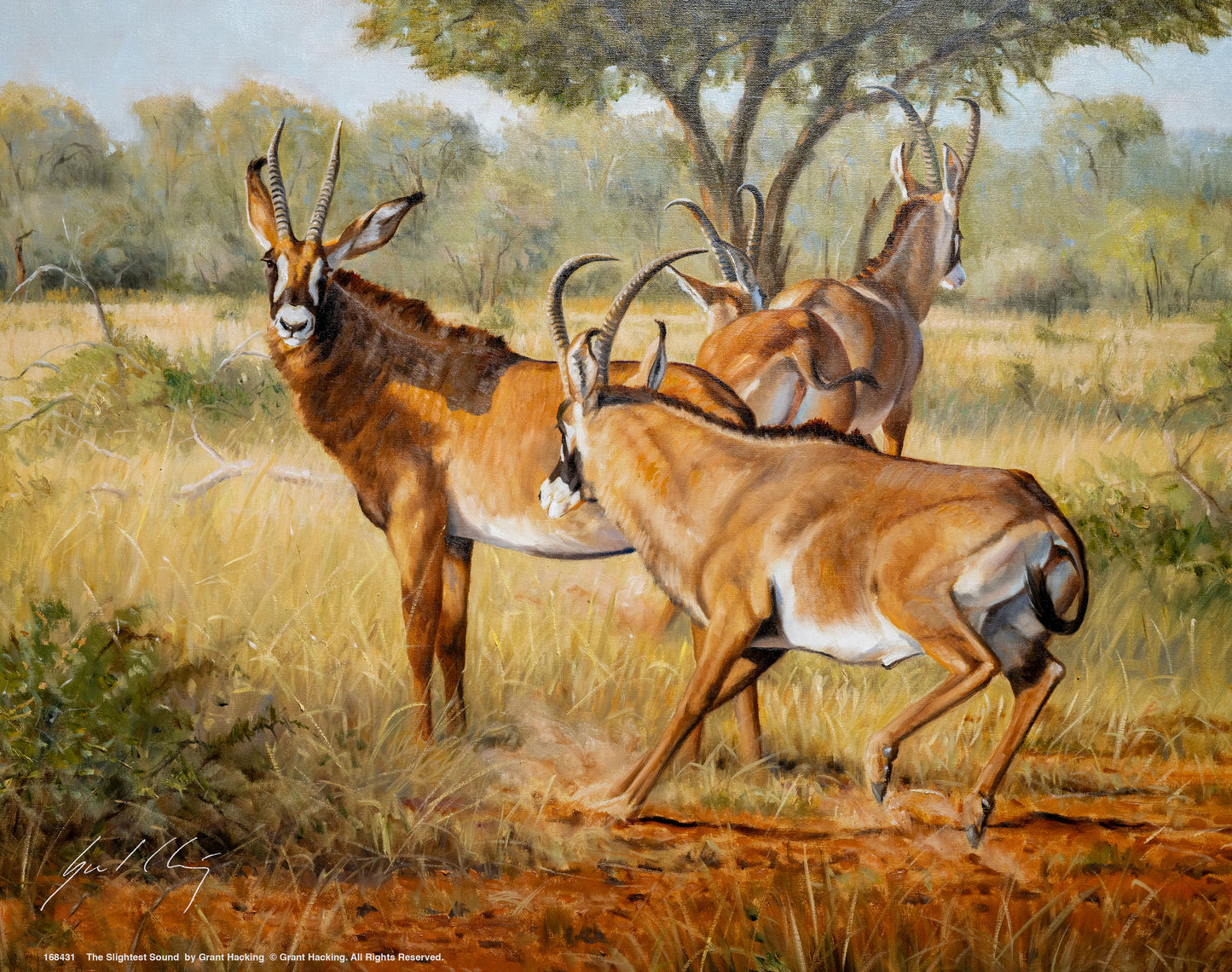 The Slightest Sound - Art Prints