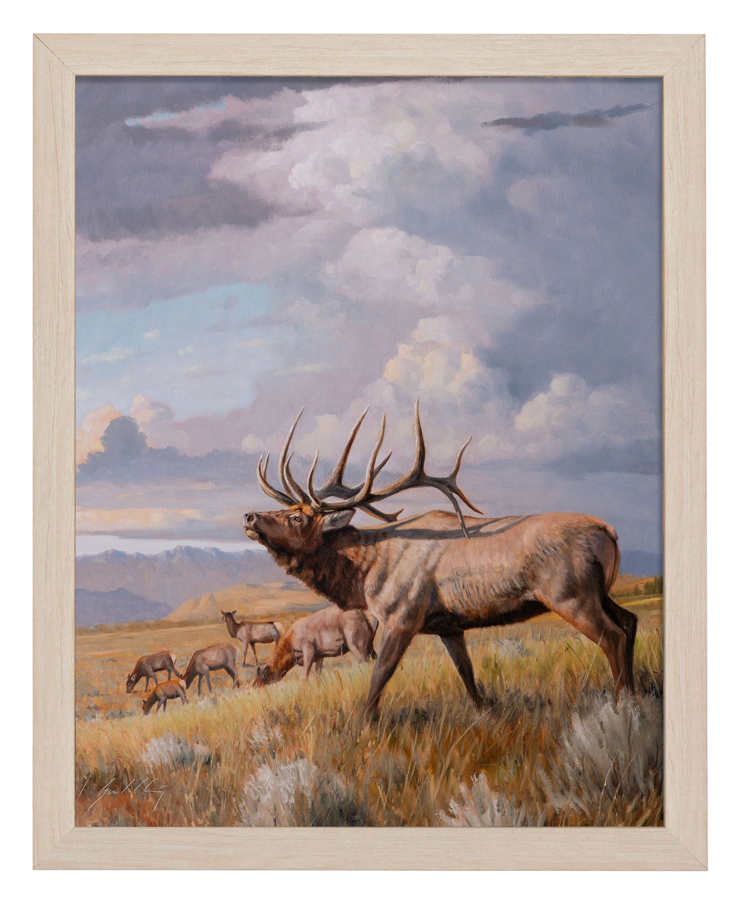 Western Vista_Art Prints