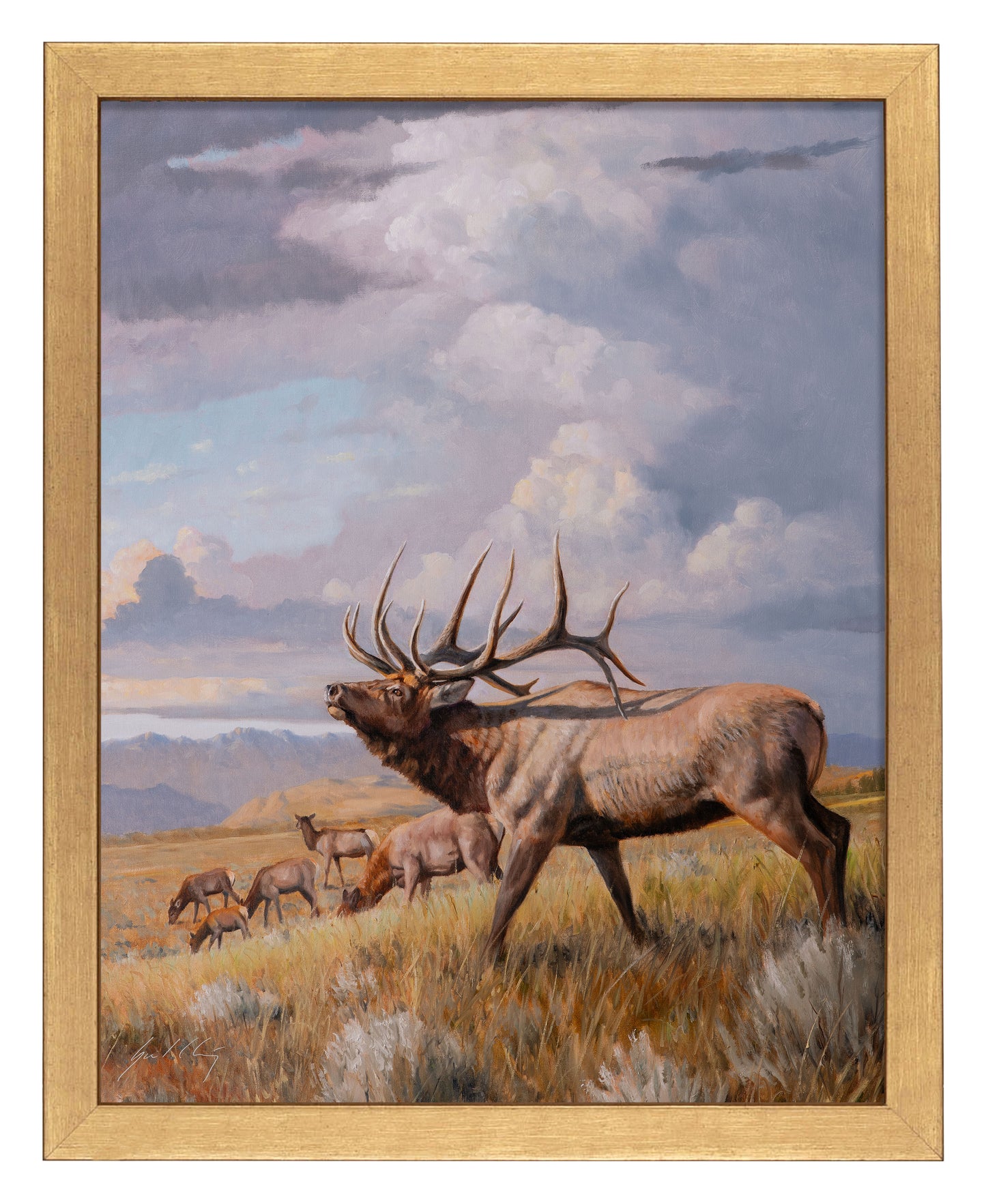 Western Vista_Art Prints