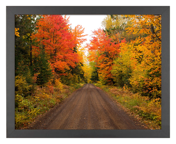 Autumn Bliss - Art Prints