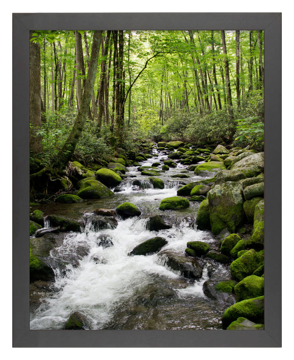Woodland Stream - Art Prints