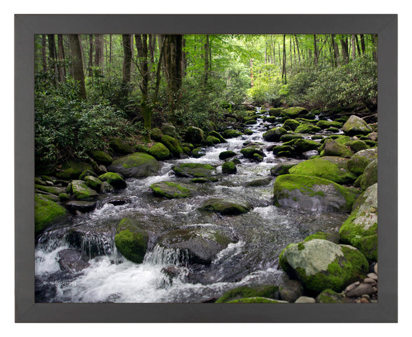 Cascading Stream_Art Prints