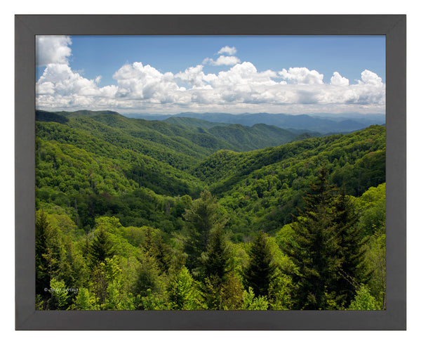 Smoky Mountains_Art Prints