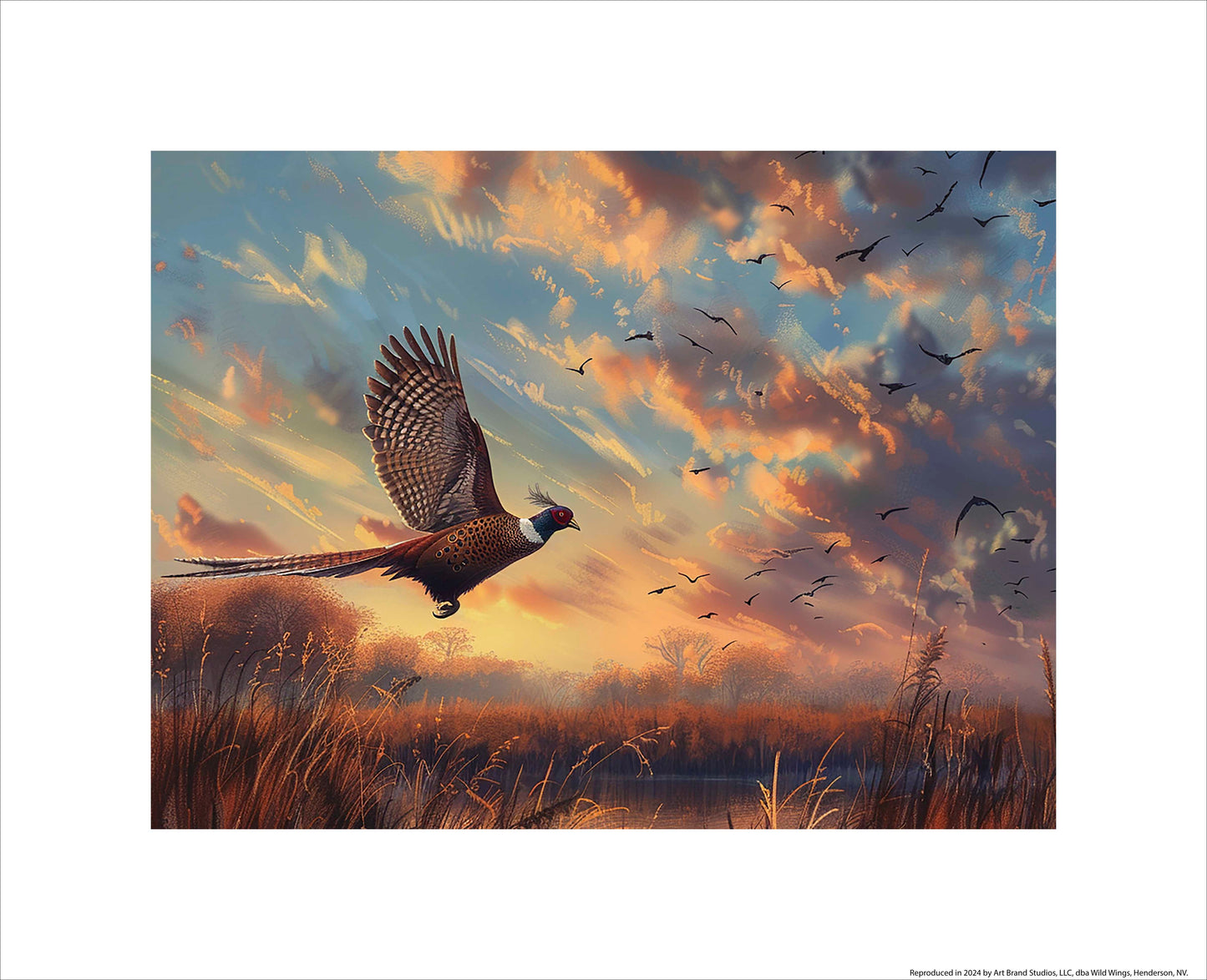 Sunset Flight - Pheasant - Art Prints