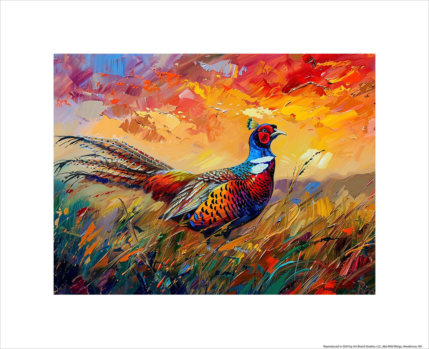 Sunset Perch - Pheasant - Art Prints
