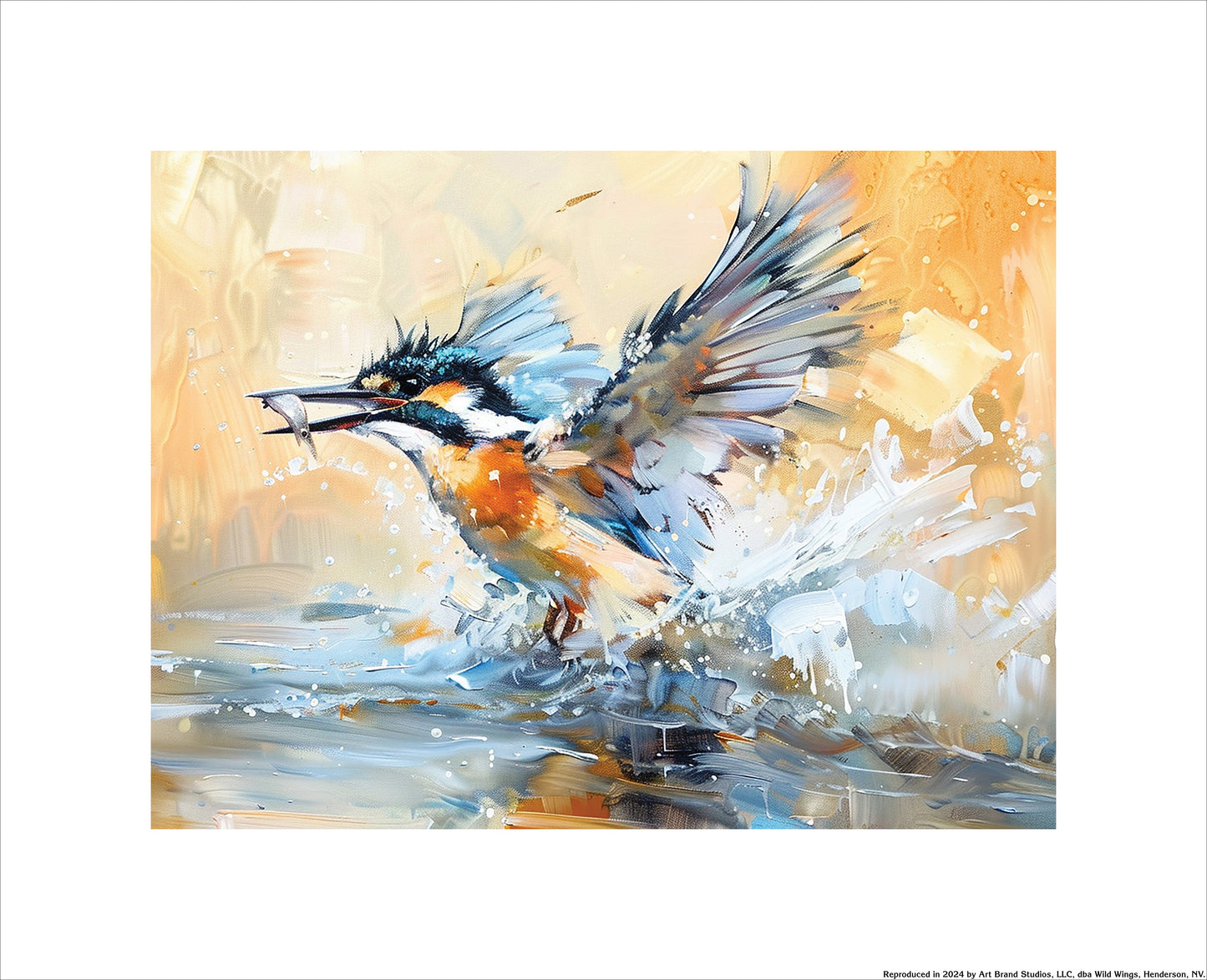 Catching Momentum - Belted Kingfisher - Art Prints