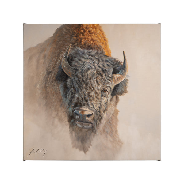 Shaking Off the Dust - 14" x 14" Gallery Wrapped Canvas