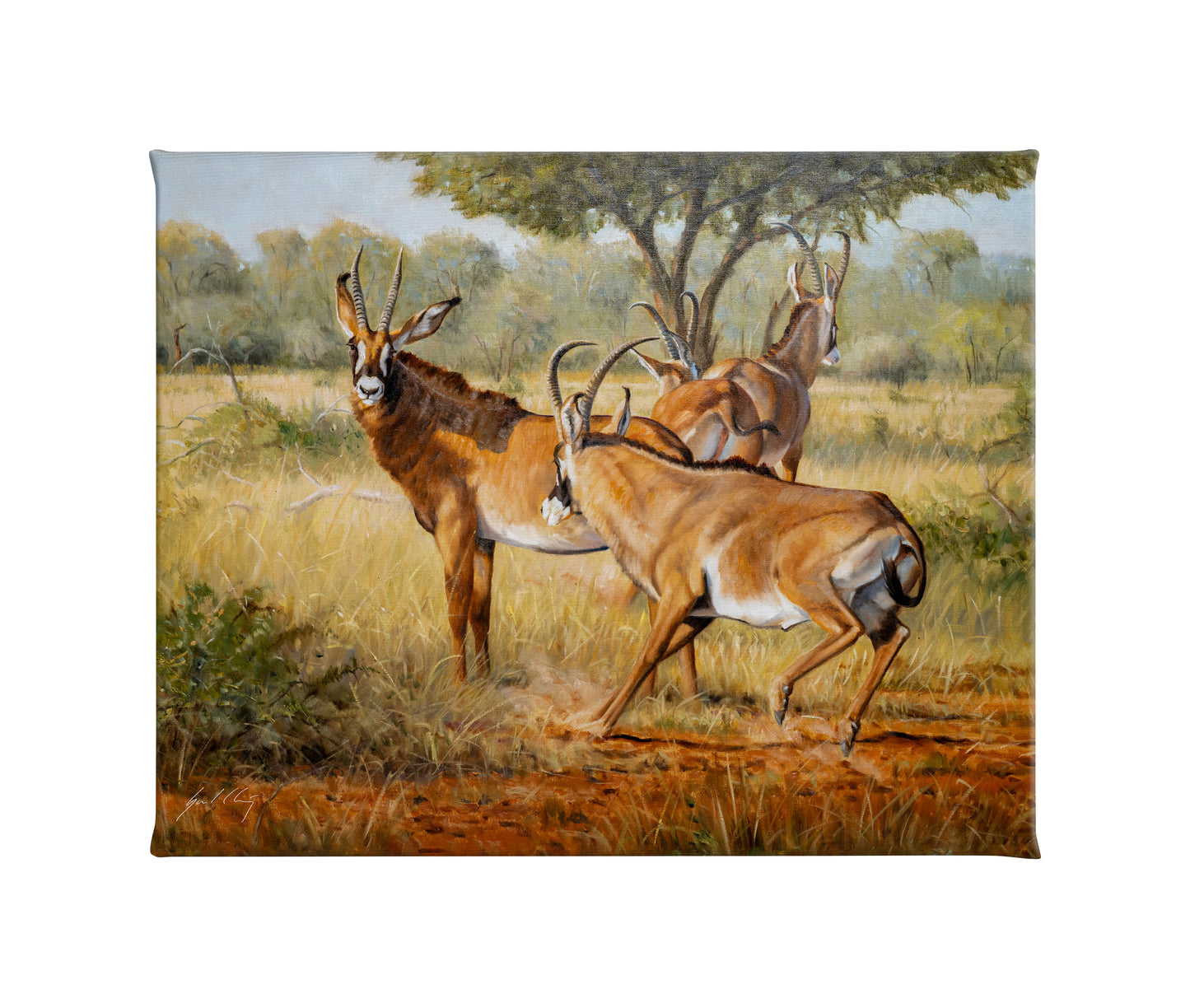 The Slightest Sound - 16" x 20.5" Gallery Wrapped Canvas