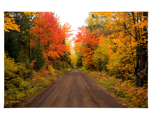 Autumn Bliss - 24" x 36" Gallery Wrapped Canvas