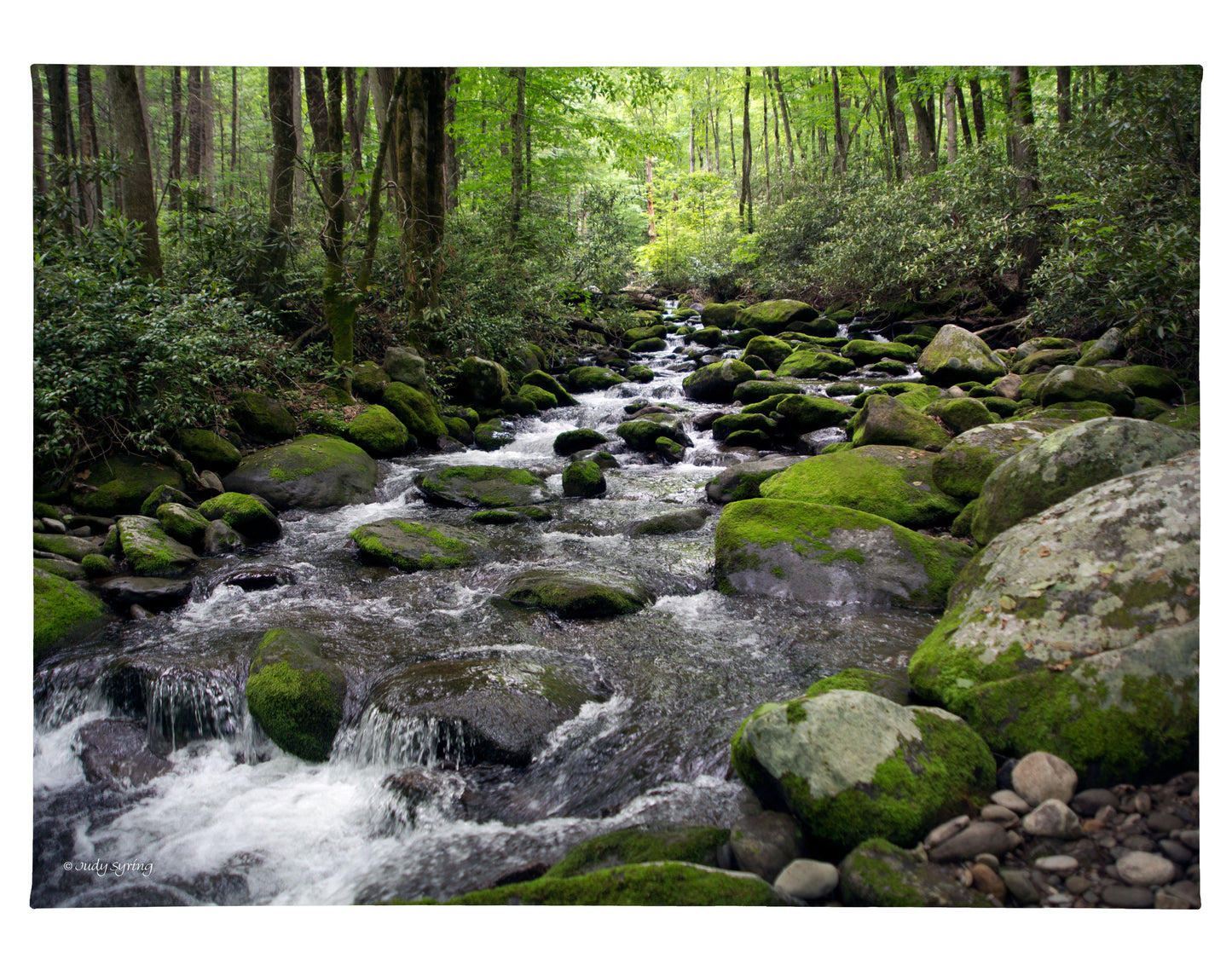 Cascading Stream - 13" x 18" Gallery Wrapped Canvas