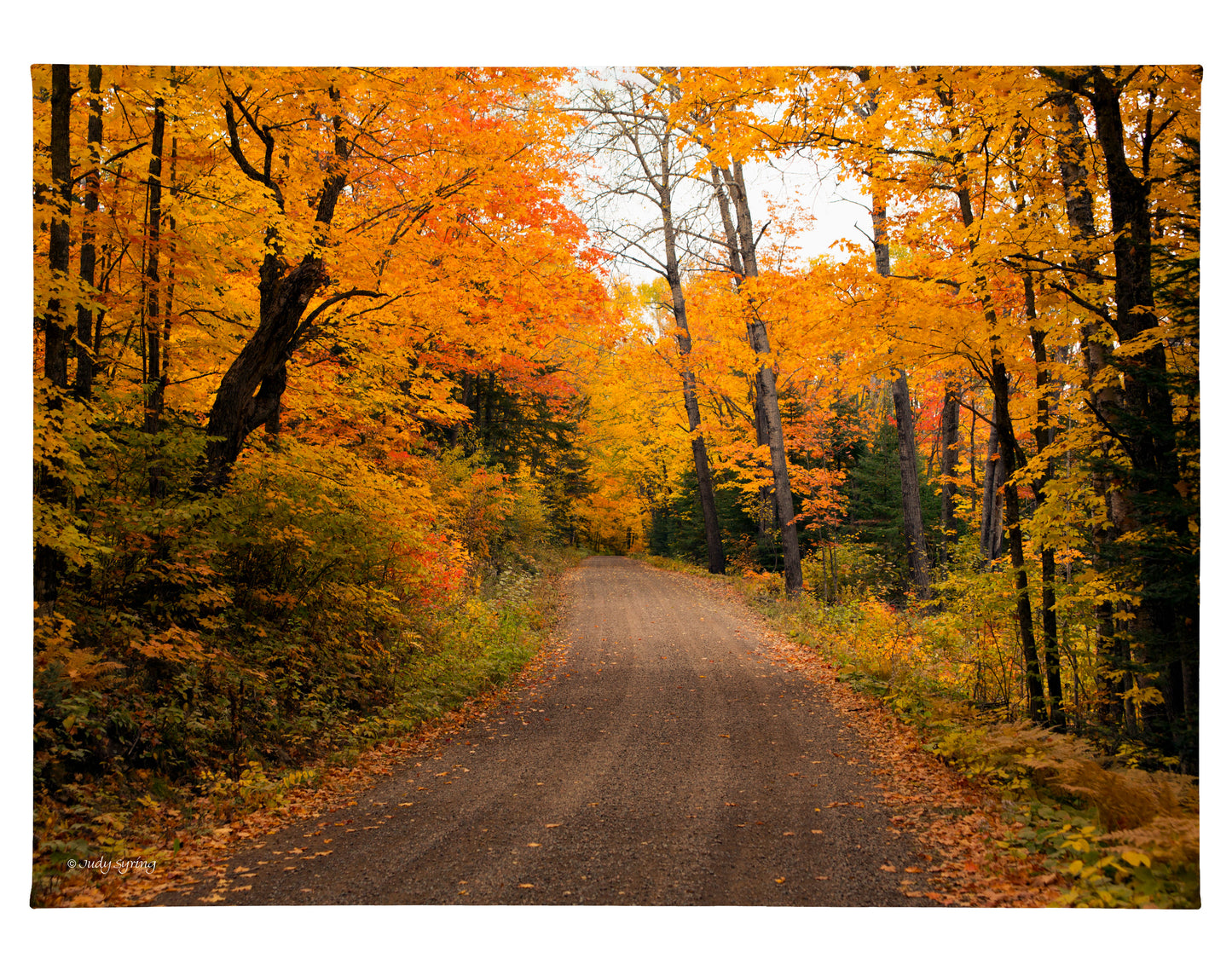 Round the Bend - 13" x 18" Gallery Wrapped Canvas
