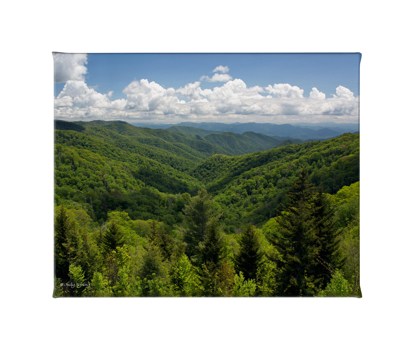 Smoky Mountains - 19" x 24" Gallery Wrapped Canvas