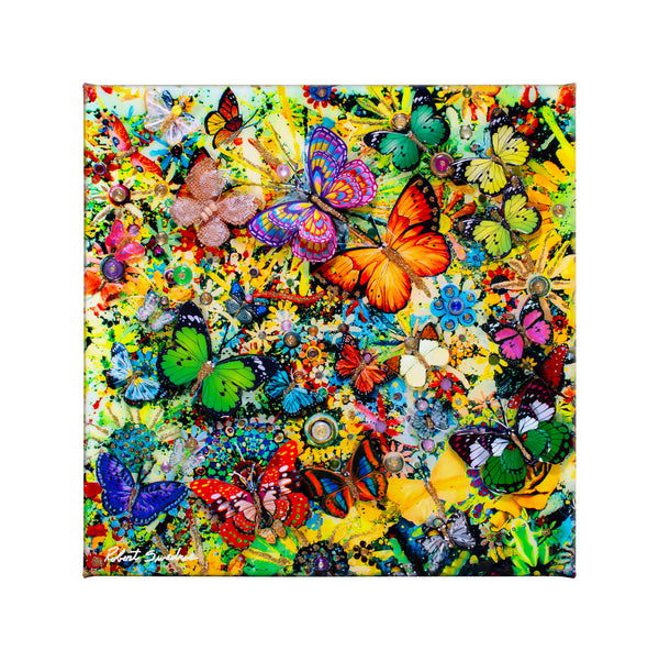 Butterfly Spring - 14" x 14" Gallery Wrapped Canvas