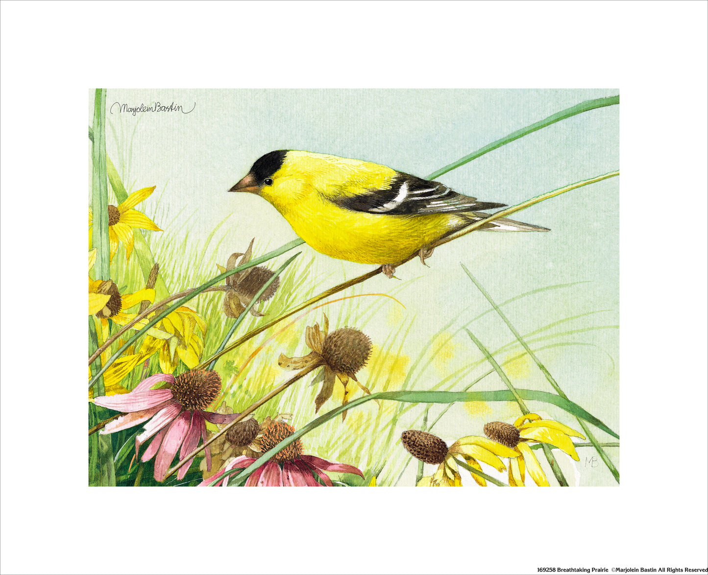 Breathtaking Prairie - Art Prints