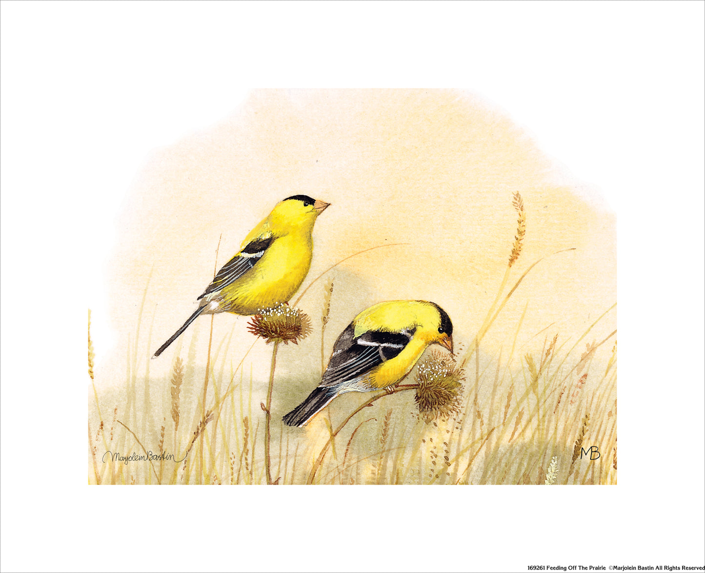 Feeding Off The Prairie - Art Prints