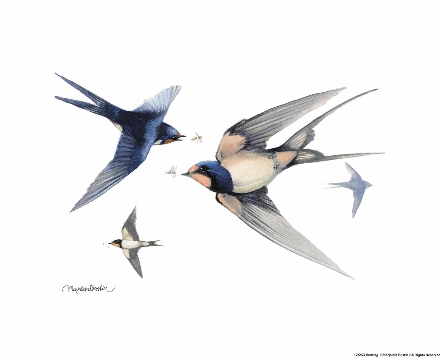 Hunting - Art Prints