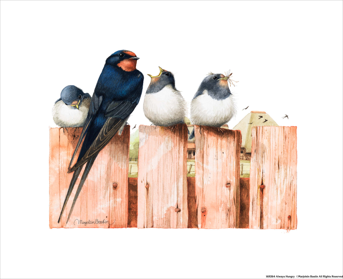 Always Hungry - Art Prints