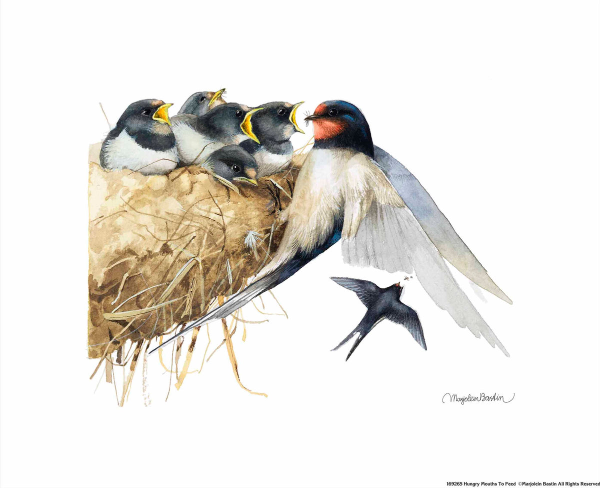 Hungry Mouths To Feed - Art Prints